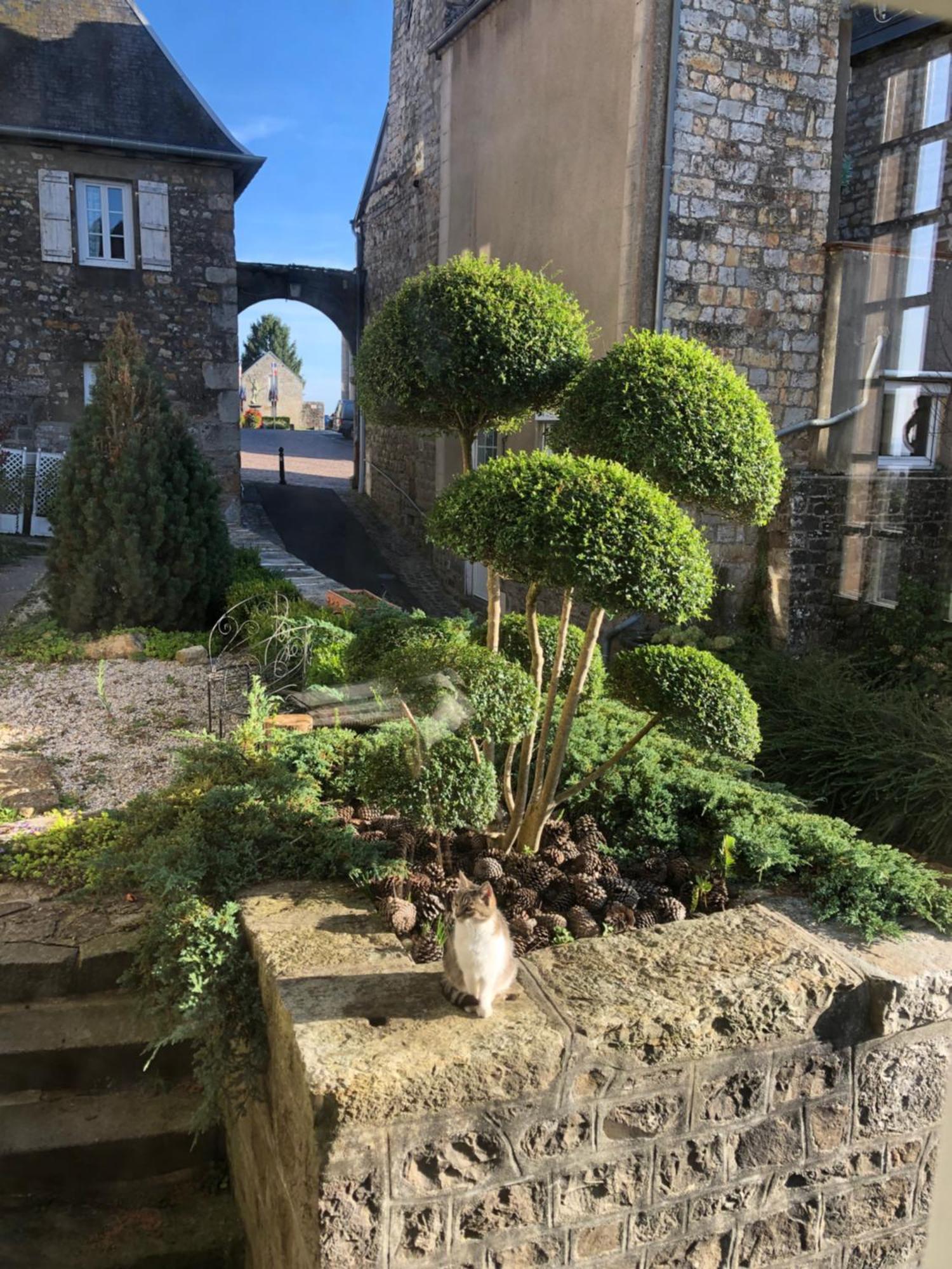 La Maison Sur Les Remparts Panzió Domfront  Kültér fotó